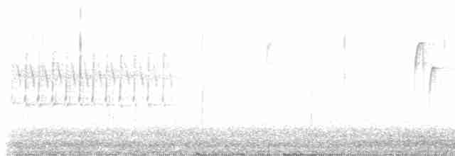 Юнко сірий [група oreganus] - ML616615619