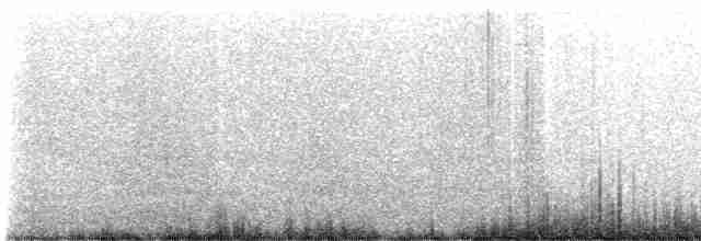 Wedge-tailed Shearwater - ML616615926
