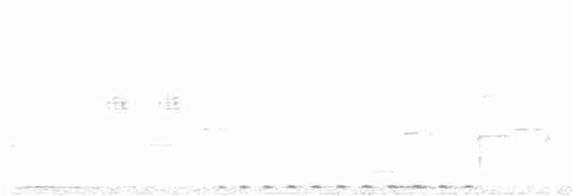 White-eared Brown-Dove - ML616616077