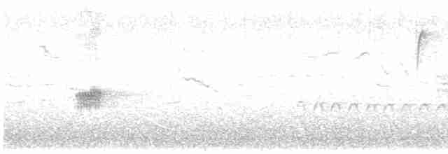 Txonta arrunta - ML616616435