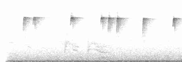 Бледноногая короткохвостка - ML616616590