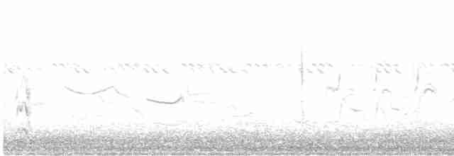 Weißbrauen-Heckensänger [leucophrys-Gruppe] - ML616617086