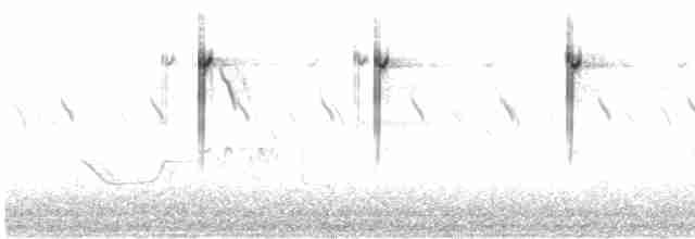 cistussanger (terrestris/uropygialis) - ML616617090