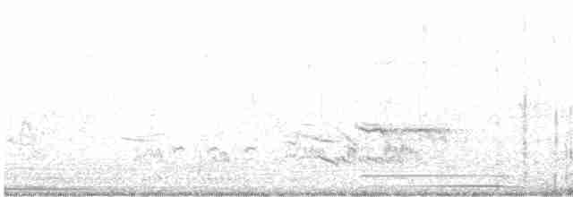 Graulärmvogel - ML616617154