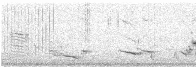 Сорокопуд строкатий - ML616617170