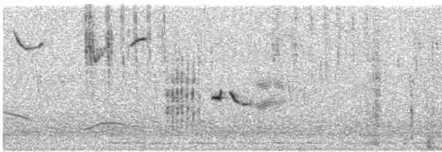 Shaft-tailed Whydah - ML616617249