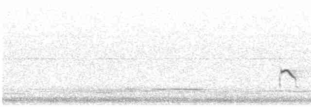 Little Ringed Plover - ML616618133