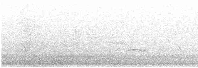 Common Chaffinch - ML616618154