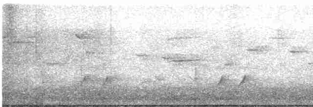 Streifenpanthervogel - ML616619810