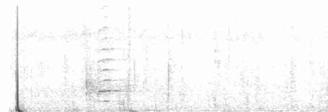 Toucan montagnard - ML616620392