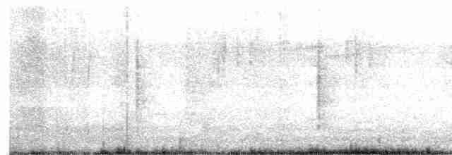 Australian Reed Warbler - ML616620443