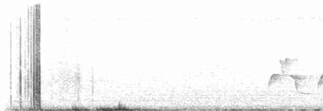 Каролинский крапивник - ML616620518