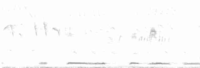 Белокрылая горлица - ML616621193