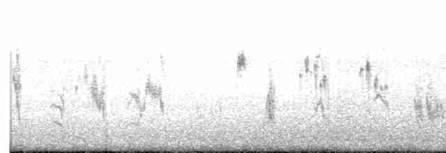 חנקן ערבות - ML616621320