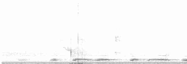holub šedobřichý - ML616621374