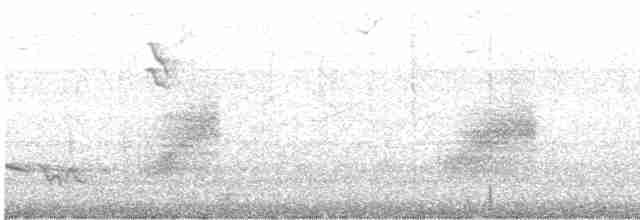 Красношапочный бентеви - ML616621714
