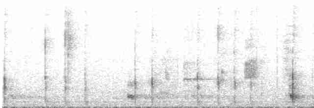 Gray-capped Pygmy Woodpecker - ML616622316
