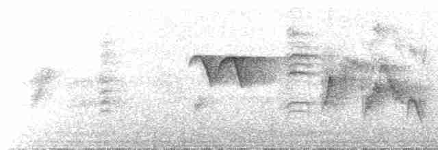 灰喉山椒鳥 - ML616622322