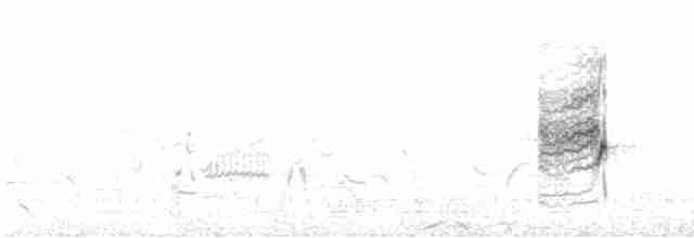 Белобрюхая нектарница - ML616625195