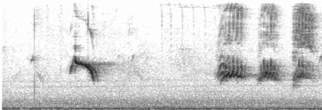 Evening Grosbeak (type 1) - ML616625338