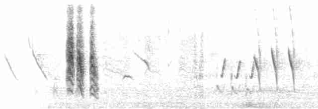 Калахарская мухоловка - ML616625557