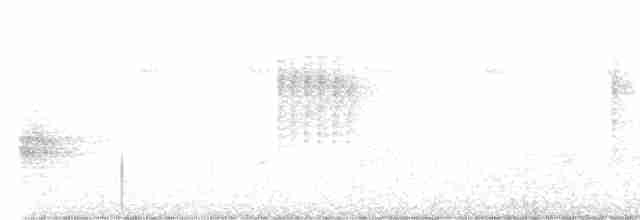 Малая мухоловка - ML616625823