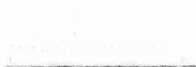 Юнко сірий (підвид caniceps) - ML616625864