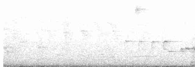 Russet-crowned Warbler - ML616626048