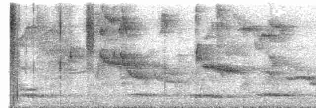 Turuncu Başlı Ardıç - ML616626179