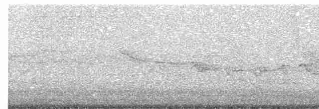 白斑紫嘯鶇 - ML616626843