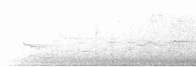 Белогорлая зонотрихия - ML616627210