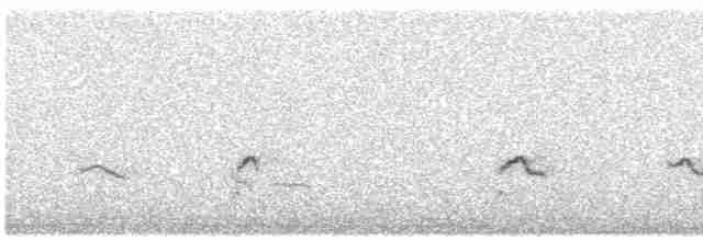Little Ringed Plover - ML616628274