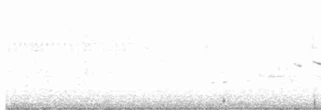 Fan-tailed Warbler - ML616631477