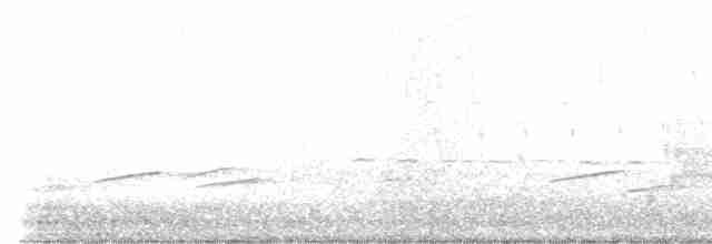 Common Yellowthroat - ML616631528