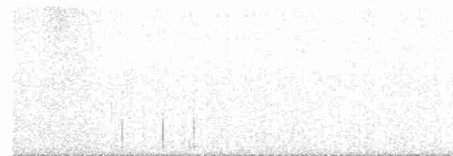 Cuitlacoche de las Artemisas - ML616632937