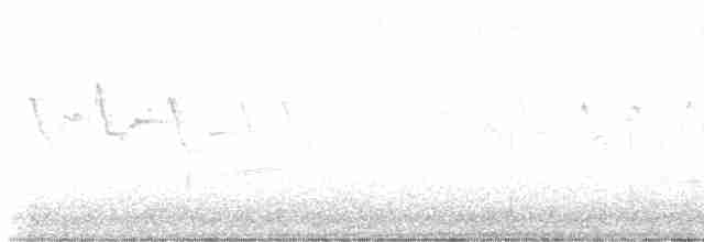 Yellow-rumped Warbler (Myrtle) - ML616633043