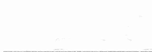 holoubek hnědoprsý - ML616633914