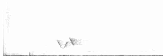 Жёлтый толстонос (aurantiacus) - ML616634085