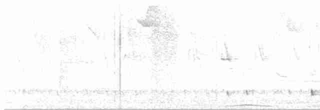 holub parukový - ML616634996