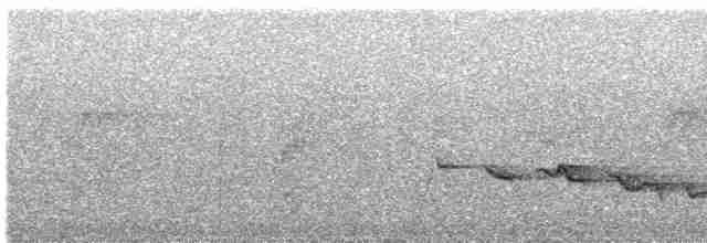 Kara Gagalı Koca Vireo - ML616635867