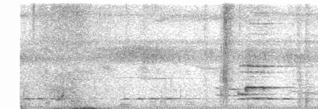 Chevêchette cuculoïde - ML616636291