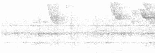 Tangara Antillana (versicolor) - ML616637897