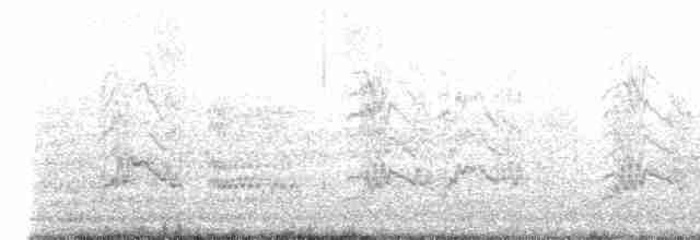 דררה אלכסנדרית (פליטת שבי) - ML616638134