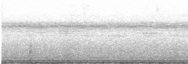 White-tailed Nightjar - ML616638594