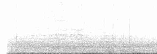 אווז ברבורי (מבוית) - ML616638854