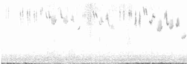 Bruant sauterelle - ML616642033