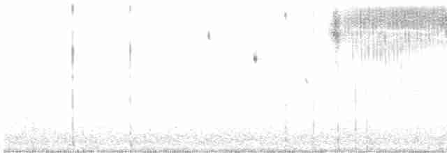 Bruant sauterelle - ML616642034
