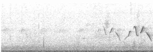 Common Yellowthroat - ML616645404