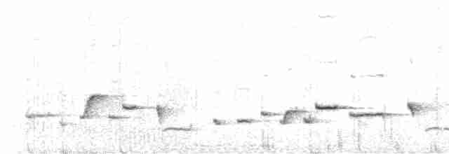 Troglodyte de Negret - ML616646136