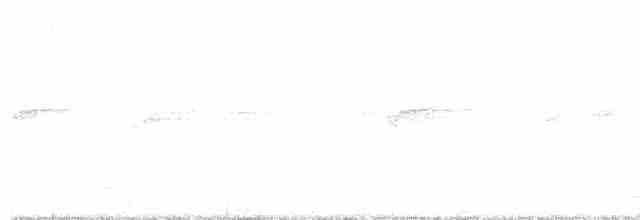 Bändernachtschwalbe - ML616646258